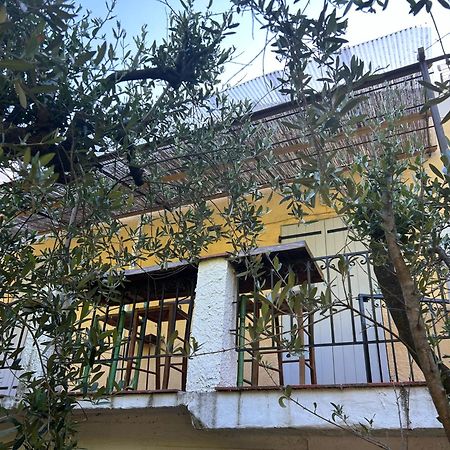 Bastide Des Hesperides Daire Flayosc Dış mekan fotoğraf